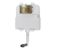 Dual Flush Concealed Cistern and Brushed Brass Push Button
