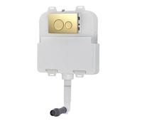 Dual Flush Concealed Cistern and Brushed Brass Round Flush Plate