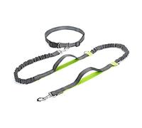 Dual-Handle Bungee Leash for Large Dogs: A Green Retractable Dog Leash for Running and Walking