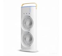 Dual Head Rotatable Mist Cooling Fan, 3 Speed Portable Circulator Fan With Humidification & Rgb Ambient Light, 120° Rotation Desktop Air Cooler For Bedroom Office Dorm Home