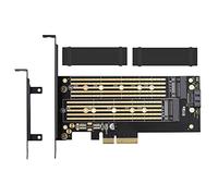 Dual M.2 PCIE Adapter for SATA or PCIE NVMe SSD with Advanced Heat Sink Solution,M.2 SSD NVME (m Key) and SATA (b Key) 22110 2280 2260 2242 2230 to PCI-e x 4 Host Controller Expansion Card