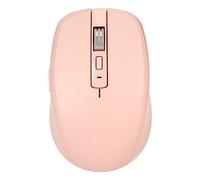 Dual Mode Bluetooth USB Wireless Mouse, Rechargeable Silent Ergonomic Game Mice with 4 DPI UP to 2400, 12 RGB Lighting Effects, 3D Scroll Wheel for Laptop/PC/Win/Android/iOS