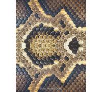 Dual noteBOOK: blank and lined journal with alternating pages | sketchbook for jotting down notes, drawing, sketching, and creative writing | 8.5'' x ... cover | Snake skin design (Dual Notebooks)