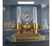 Dual Outlet Gas Regulator Brass CGA-580 Fit(G5-8)