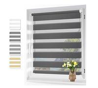 Dual Roller Blinds 45x250cm Blackout Waterproof Fabric for Bathroom & Office Adjustable Chain Mechanism Dark Gray Perfect Day & Night Privacy Solution