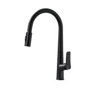 Dual Spout Kitchen Water Filter Pull Out Sink Mixer for Pure Drinking Water G9/16 Connector Compatible Easy Installation Stylish Design Durable Quality