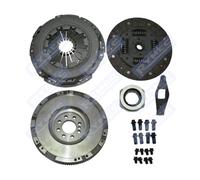 Dual to Solid Flywheel Clutch Conversion Kit 4pc SF1022 RYMEC 250mm