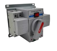 Dual Transfer Switch 2p 63a 230v Mcb Type Dual Power Automatic Transfer Switch Ats Automatic Power Converter