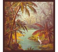 DUANE BETTS - WILD PRECIOUS LIFE - CD - A4z