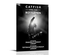 Duanyao Catfish And Poster The Bottlemen Music Rock Band On Tour 2025 Posters for Room Aesthetic Canvas Wall Art Bedroom Decor12x18inch(30x45cm)