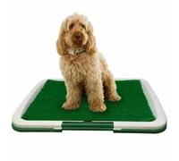 DUAS Pet Training Pad with 3-Layer Tray & Artificial Grass | Puppy Dog Toilet Mat | Leak-Proof Indoor Potty Trainer | Absorbent Pee Pad for Pets (Green)