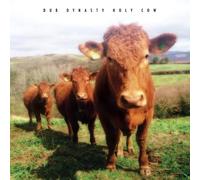 Dub Dynasty - Holy Cow [VINYL]