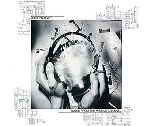 Dub Syndicate - Tunes From The Missing Channel [VINYL]