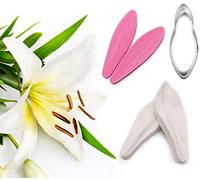 DUBENS Lily Flower Petal Veiner & Cutter Silicone Mould Fondant Mould Cake Decorating Tools Chocolate Gumpaste Sugarcraft Mould