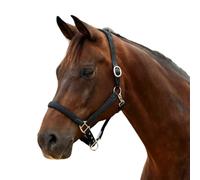 Dublin Braided Leather Headcollar, Black, Full