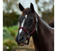 Dublin Braided Leather Headcollar - Burgundy - Full