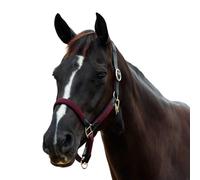 Dublin Braided Leather Headcollar, Burgundy, Full