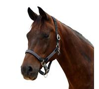 Dublin Braided Leather Headcollar, Charcoal, Warmblood