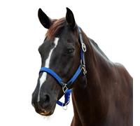 Dublin Braided Leather Headcollar, Cobalt, Cob