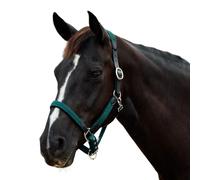 Dublin Braided Leather Headcollar, Hunter Green, Warmblood