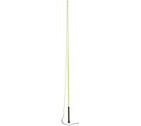 Dublin Brights Lunge Whip - Green