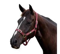 Dublin Everyday Headcollar, Burgundy, Cob