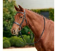 Dublin Flat Cavesson Bridle - Black - Size: Pony