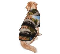 Dublin Ireland Ha Penny Bridge River Dog Hoodie for Medium Large Dogs, Warm Soft Pet Sweatshirt, Easy to Wear Jumper Clothes