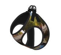 Dublin Ireland Ha Penny Bridge River Print Adjustable Reflective Harness Leash Set For Cats, Dogs And Small Pets, Soft Breathable Mesh Walking Vest With Escape-Proof Lead