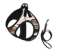 Dublin Ireland Ha Penny Bridge River print Dog Harness, 2X Buckle,Dog Vest,No Pulling Front Leash Clip,for Small Medium Dogs