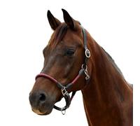 Dublin Leather Rope Headcollar, Burgundy/Brown, Full
