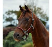 Dublin Leather Rope Headcollar - Burgundy/Brown - Full