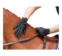 Dublin Men's Bling Everyday Riding Gloves in Black | Size: 6 Dublin Black 6