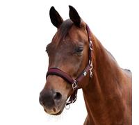 Dublin Neo Comfort Headcollar, Burgundy, Pony