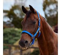 Dublin Neo Comfort Headcollar - Cobalt - Cob