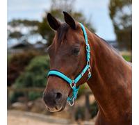 Dublin Neo Comfort Headcollar - Dark Turquoise - Cob