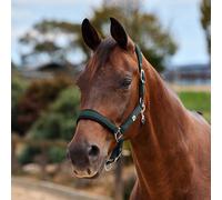 Dublin Neo Comfort Headcollar - Green/Black - Cob