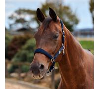 Dublin Neo Comfort Headcollar - Navy - Cob