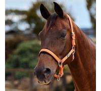 Dublin Neo Comfort Headcollar - Orange - Cob