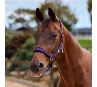 Dublin Neo Comfort Headcollar - Purple - Mini