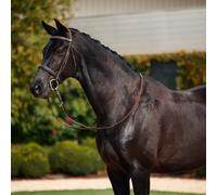 Dublin Padded Cavesson Bridle Brown - Cob