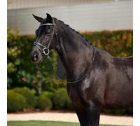 Dublin Padded Comfort Crown Crystal Flash Bridle, Black, Pony