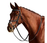 Dublin Padded Mono Crown Fancy Stitch Grackle Bridle, Black, Warmblood