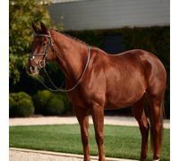 Dublin Padded Mono Crown Fancy Stitch Grackle Bridle Brown - Cob