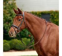 Dublin Padded Mono Crown Flash Bridle Brown - Pony