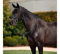 Dublin Padded Mono Crown Patent Flash Bridle Black - Cob