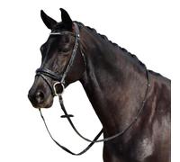 Dublin Padded Mono Crown Patent Flash Bridle, Black, Warmblood