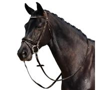 Dublin Padded Mono Crown Patent Flash Bridle, Brown, Cob