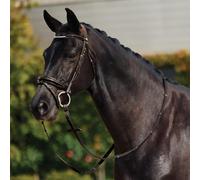 Dublin Padded Mono Crown Patent Flash Bridle Brown - Pony