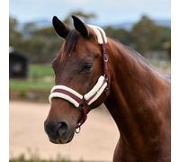 Dublin Soft Fit Headcollar - Burgundy - Size: Pony